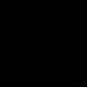 Meet your Posher, Sydni